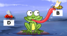 Bug Type Catcher